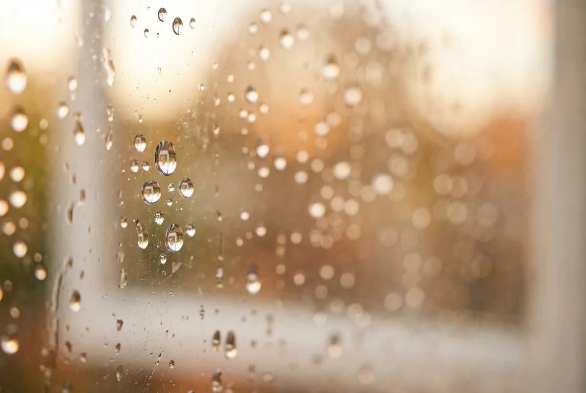 Close-up of water droplets on glass with soft natural light